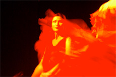 Seville (Cadiz) Flamenco Walking Tour cruise excursion
